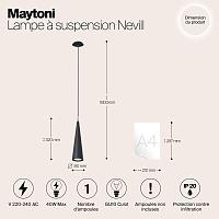 Дополнительная картинка Подвесной светильник Maytoni Nevill P318PL-01B