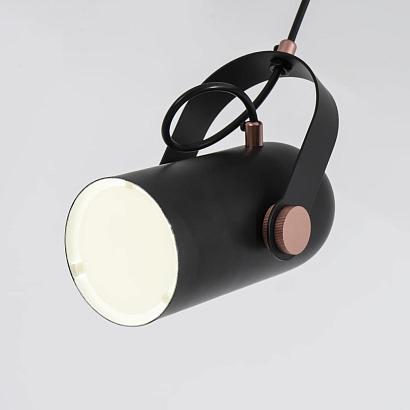 подвесной светильник favourite ampolla 2007-1p, доставка по Казахстану 