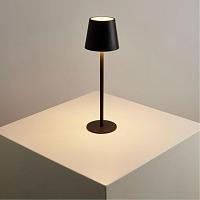 Дополнительная картинка Настольный светильник FUYUE Arte Lamp A1614LT-1BK