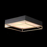 Дополнительная картинка Потолочный светильник ST Luce Chodo SL1127.422.05