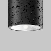 Дополнительная картинка Потолочный светильник Outdoor O310CL-L7GF3K