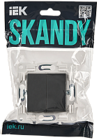 SKANDY Выключ. 2-кл. 10А SK-V04T титан IEK 