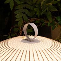 Декоративная настольная лампа Divinare FIREFLY 1808/33 TL-50
