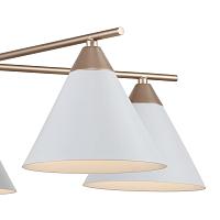 Дополнительная картинка Потолочная люстра F-Promo Calor 2774-5P