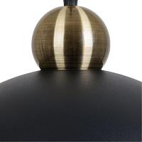 Дополнительная картинка Подвесной светильник Arte Lamp RECINTO A7053SP-1BK