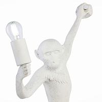 Дополнительная картинка Бра Evoluce Tenato SLE115111-01
