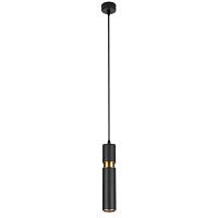 Дополнительная картинка Подвесной светильник Arte Lamp RAN A3145SP-1BK