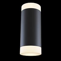 Дополнительная картинка Бра Maytoni Dafne C027WL-L10B