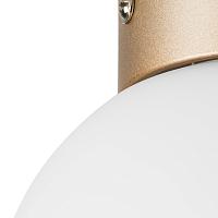 люстры 812013 (mx8131-1b-s ) люстра globo 1х40w e14 champagn gold/white (в комплекте), доставка по Казахстану 