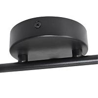 Потолочный светильник Arte Lamp IMAI A2365PL-2BK