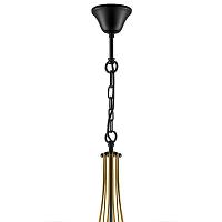 Дополнительная картинка Подвесная люстра Lightstar Bolla 734057