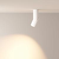 Дополнительная картинка Светодиодный спот Maytoni Dafne C027CL-L10W