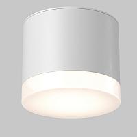 Дополнительная картинка Потолочный светильник Technical C087CL-GX53-W