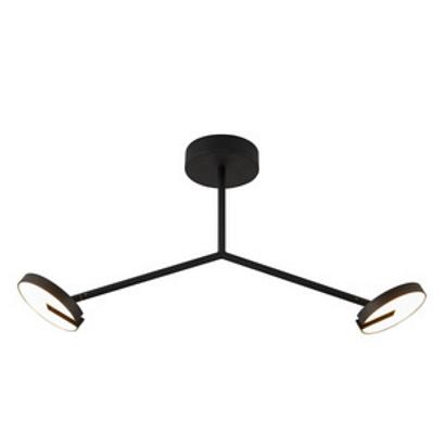 Потолочные Потолочный светильник Paritet 4401-2C, доставка по Казахстану 