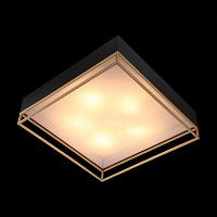 Дополнительная картинка Потолочный светильник ST Luce Chodo SL1127.422.05