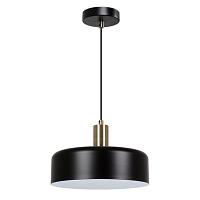подвесной светильник arte lamp skat a7052sp-1bk, доставка по Казахстану 