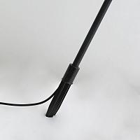 Дополнительная картинка Уличный светильник Reedy 4048-3T