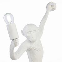 Дополнительная картинка Бра Evoluce Tenato SLE115111-01