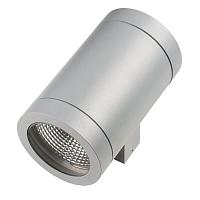 Дополнительная картинка Уличный настенный светильник Lightstar Paro 351619