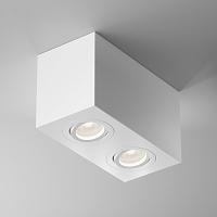 Потолочный светильник Technical C017CL-02W купить в Алматы svet.kz