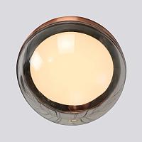 Дополнительная картинка Подвесной светильник Luna 4371-1P