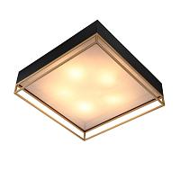 Дополнительная картинка Потолочный светильник ST Luce Chodo SL1127.422.05
