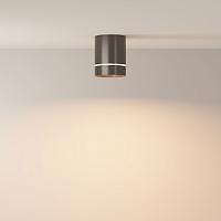 Дополнительная картинка Потолочный светильник Technical C085CL-9W3K-B