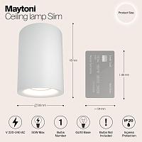 Дополнительная картинка Потолочный светильник Maytoni Alfa C012CL-01W