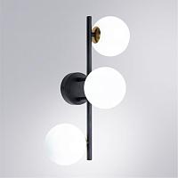 Дополнительная картинка Настенный светильник Arte Lamp GEMINI A2243PL-3BK