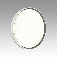 7631/DL PALE SN 043 Светильник пластик/белый/светло-серый LED 48Вт c ДУ 3000-6000К D390 IP43 пульт ДУ SAVI