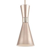 Дополнительная картинка Подвесной светильник F-Promo Sheen 2759-1P