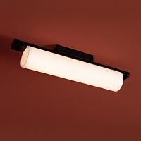Дополнительная картинка Потолочный светильник Freya FR5625CL-L20B Even