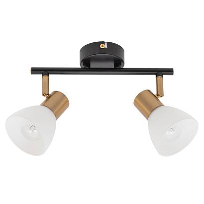 Настенно-потолочные Настенно-потолочный светильник Arte Lamp Falena A3117PL-2BK, доставка по Казахстану 