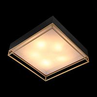 Дополнительная картинка Потолочный светильник ST Luce Chodo SL1127.422.05