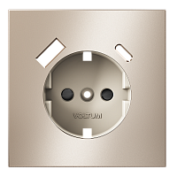 Накладка для розетки с заземлением и защитными шторками, с USB A+C, S70 Metal (платина) 