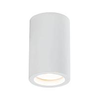 Дополнительная картинка Потолочный светильник Maytoni Conik Gyps C003CW-01W