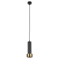 Дополнительная картинка Подвесной светильник Arte Lamp RAN A3147SP-1BK