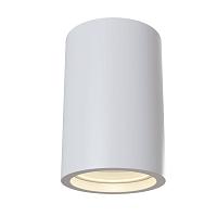 Дополнительная картинка Потолочный светильник Maytoni Conik Gyps C003CW-01W