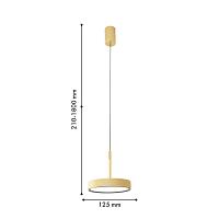 Дополнительная картинка Подвесной светильник Piller 4507-1P