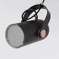 Дополнительная картинка Подвесной светильник Favourite Ampolla 2007-1P