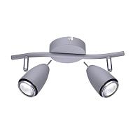 Настенно-потолочный светильник Arte Lamp Regista A1966AP-2GY