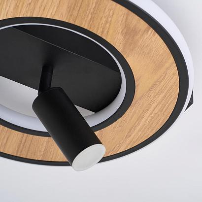 люстры потолочный светильник olika 4438-1c, доставка по Казахстану 