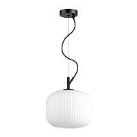 подвесной светильник odeon light pendant roofi 4753/1, доставка по Казахстану 