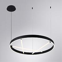 Дополнительная картинка Подвесной светильник Arte Lamp RICCO A1874SP-45BK