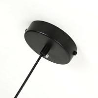 Дополнительная картинка Подвесная люстра Favourite Topper 2825-4P