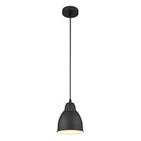 Дополнительная картинка Подвесной светильник Arte Lamp Braccio A2054SP-1BK