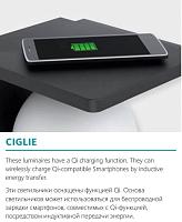 Дополнительная картинка Спот Eglo Ciglie 98263