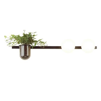 Для растений Настенный светильник Odeon Light Walli Flower 4681/2W, доставка по Казахстану 
