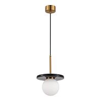 sl1191.343.01 светильник подвесной st-luce , доставка по Казахстану 