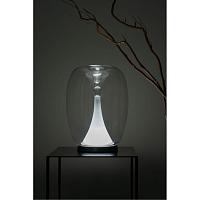 Настольный светильник Divinare CAMPO 5875/51 TL-15